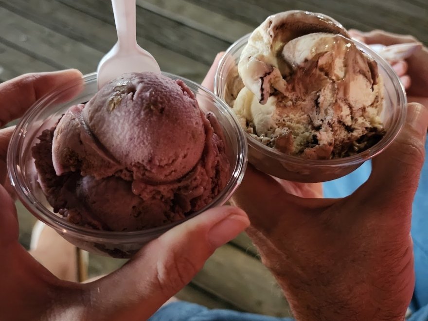 The Ice Cream Store
