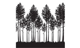 The Pines Rehoboth Beach