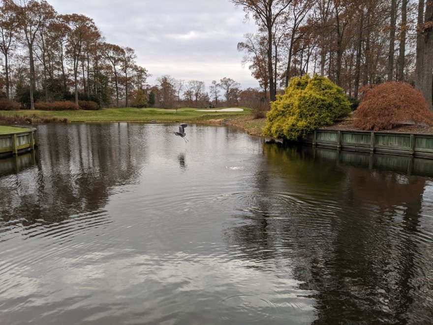 Baywood Greens Golf Course