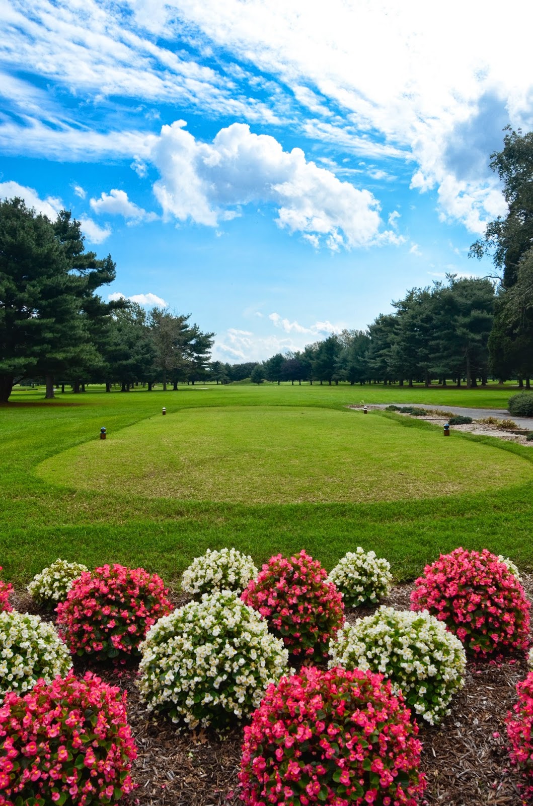 なんのそのFanch Ledan【golf course】 Torch Golf Course at A-Ga-Ming Golf Club in Kewadin