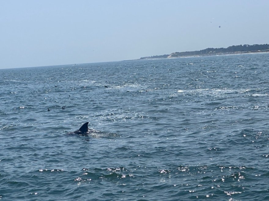 Cape Water Tours and Taxi