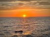 Cape Water Tours and Taxi