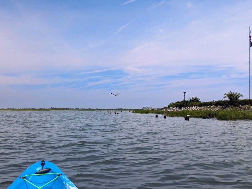 Ecobay Kayak & SUP