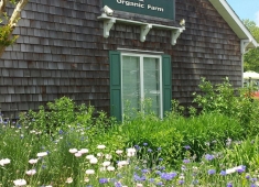 Good Earth Market & Organic Farm