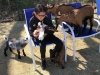 Goat Joy
