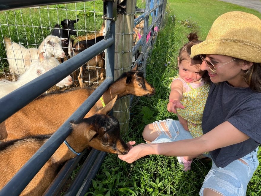 Goat Joy
