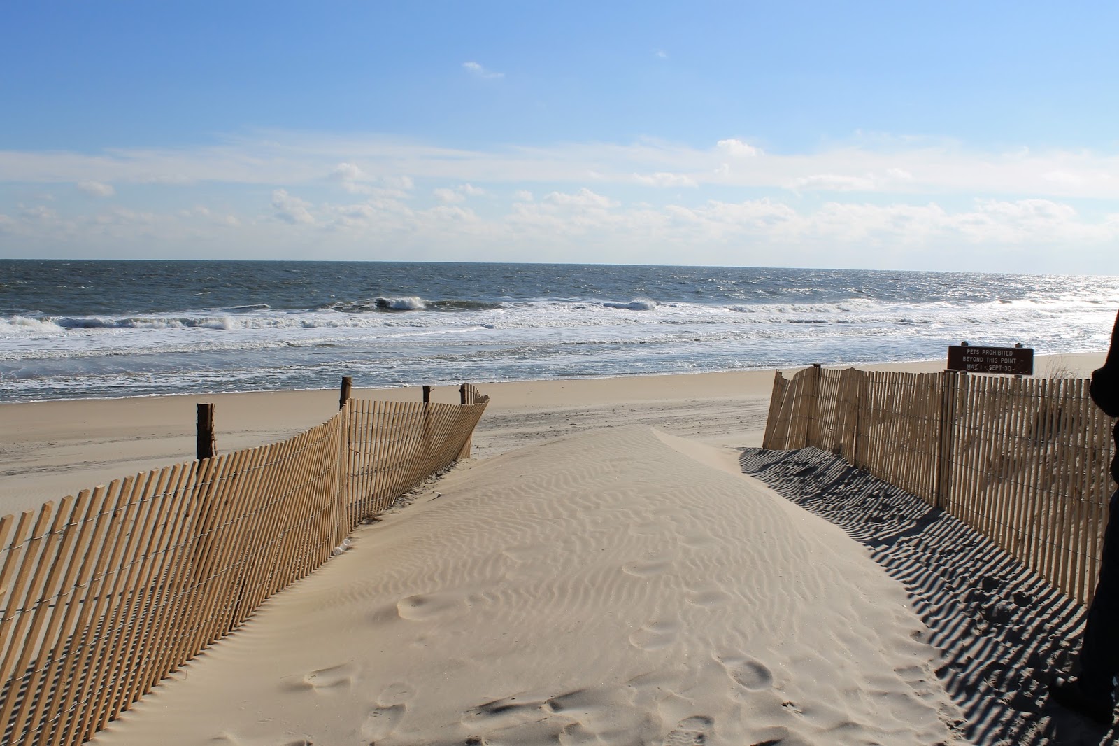 are dogs allowed on fenwick island beach