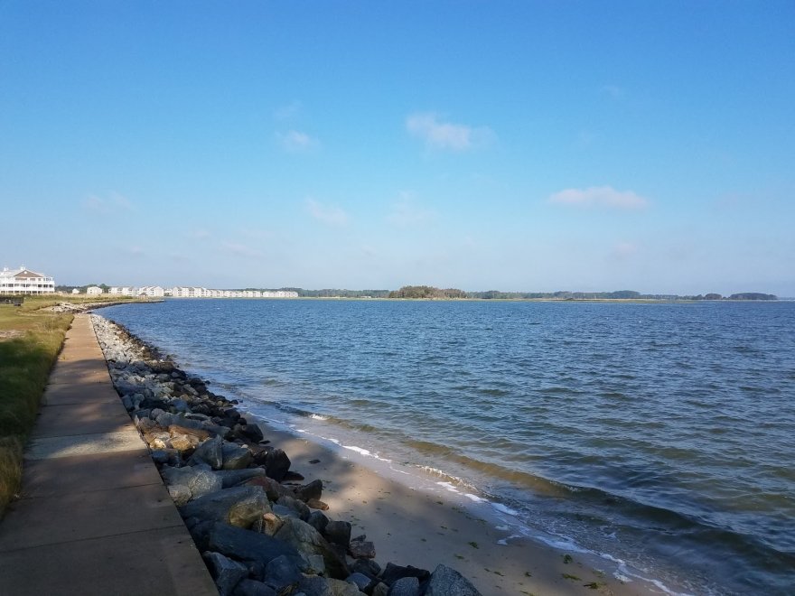 Bayshore Campground and Marina