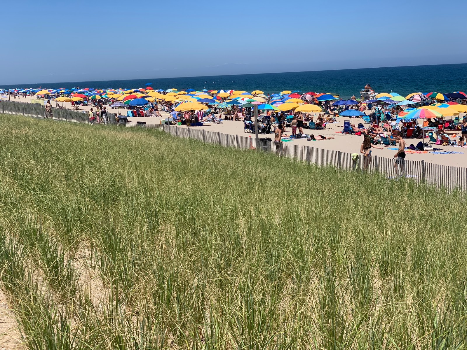 Pine Tree Campground Onsite