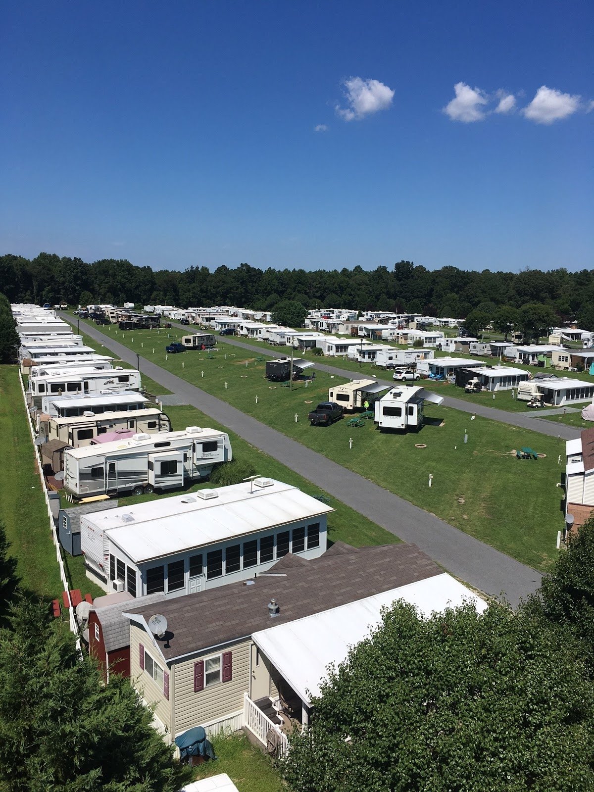 Escape to Nature's Embrace: Delaware Homestead Camping - Your Gateway to Adventure