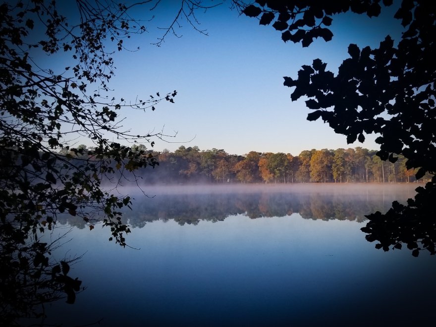 Trap Pond State Park