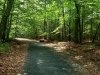 Trap Pond State Park