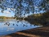 Trap Pond State Park