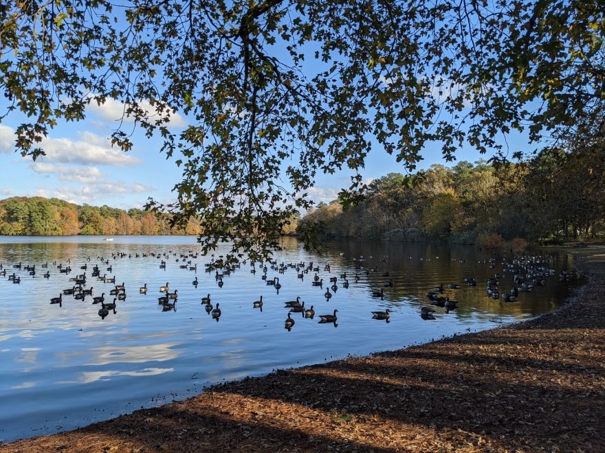 Trap Pond State Park