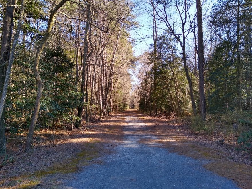 Trap Pond State Park