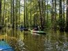 Trap Pond State Park