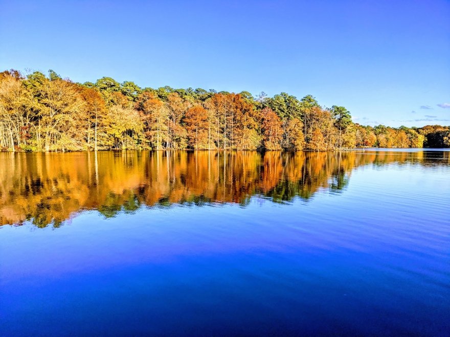 Trap Pond State Park