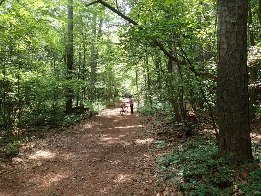 Trap Pond State Park