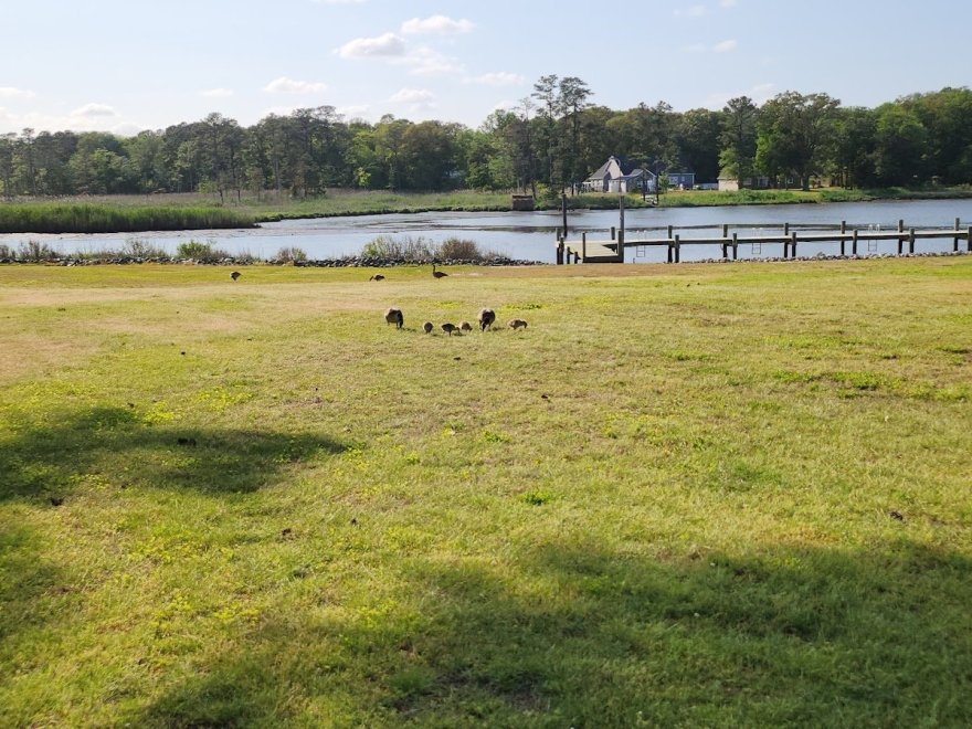Gulls Way Campground