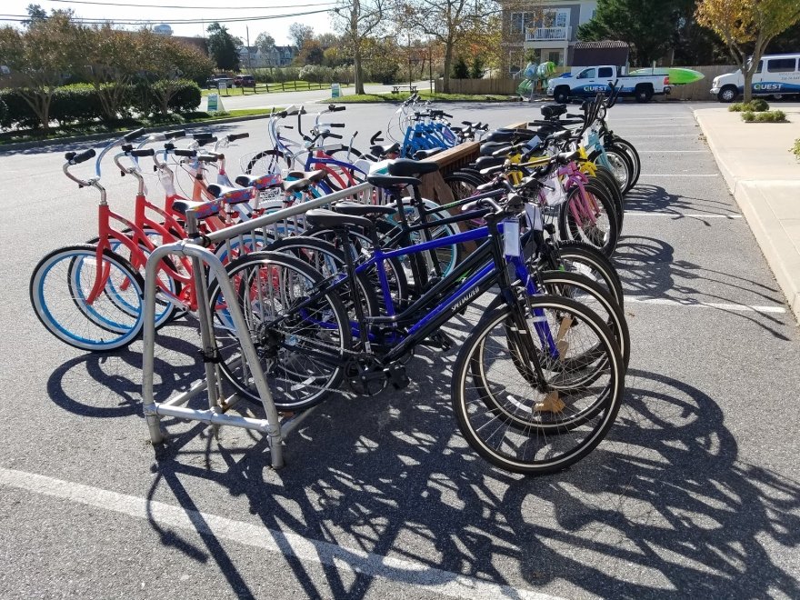 Lewes Cycle Sports