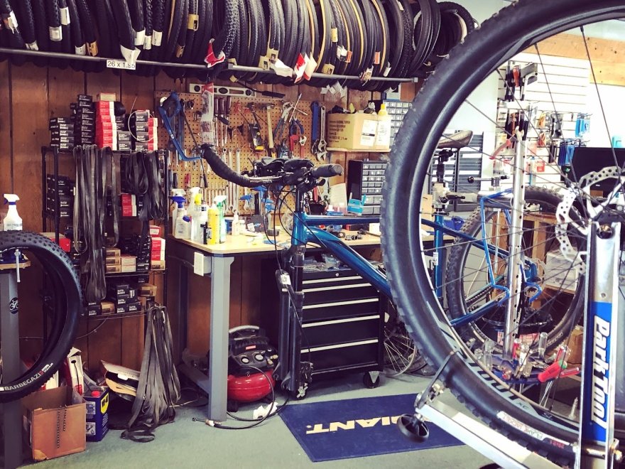 Lewes Cycle Sports