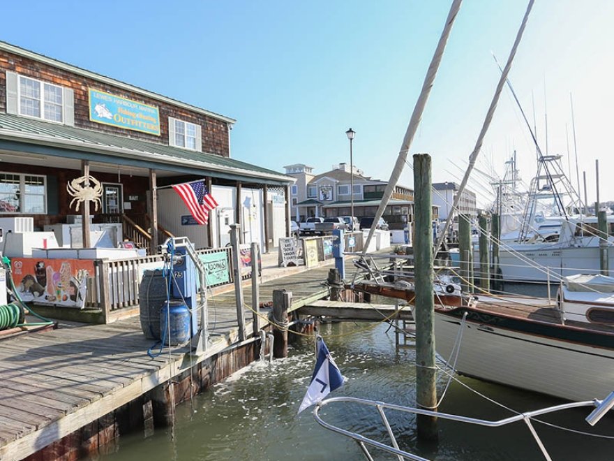 Lewes Harbour Marina