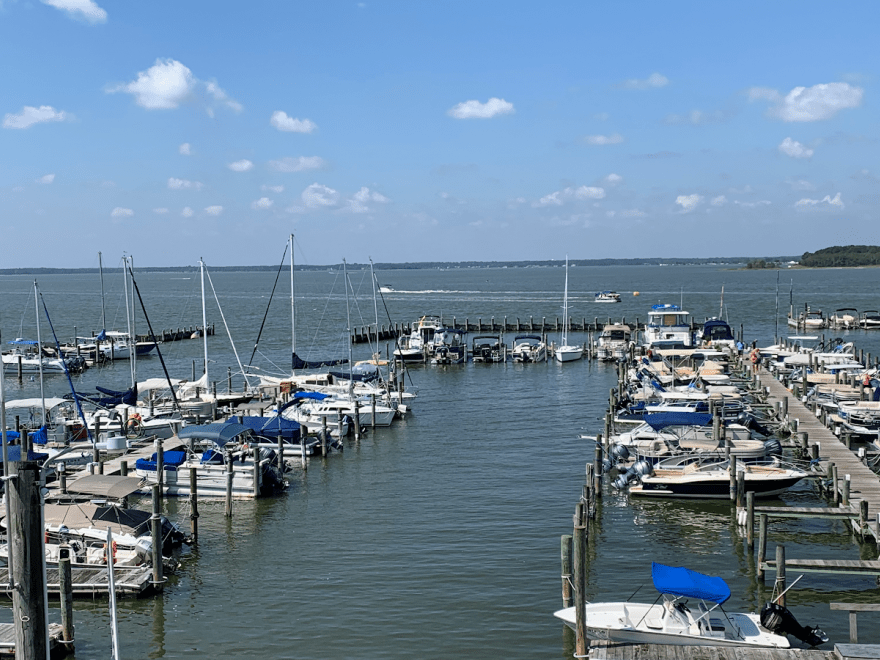 Rehoboth Bay Marina