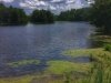 Abbott's Mill Nature Center of Delaware Nature Society