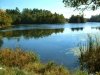 Abbott's Mill Nature Center of Delaware Nature Society