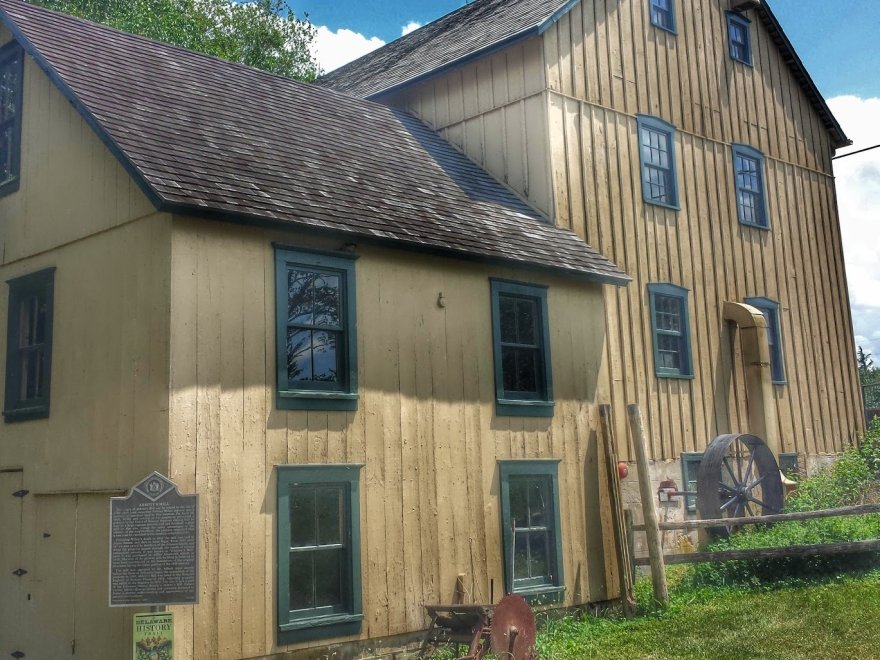 Abbott's Mill Nature Center of Delaware Nature Society