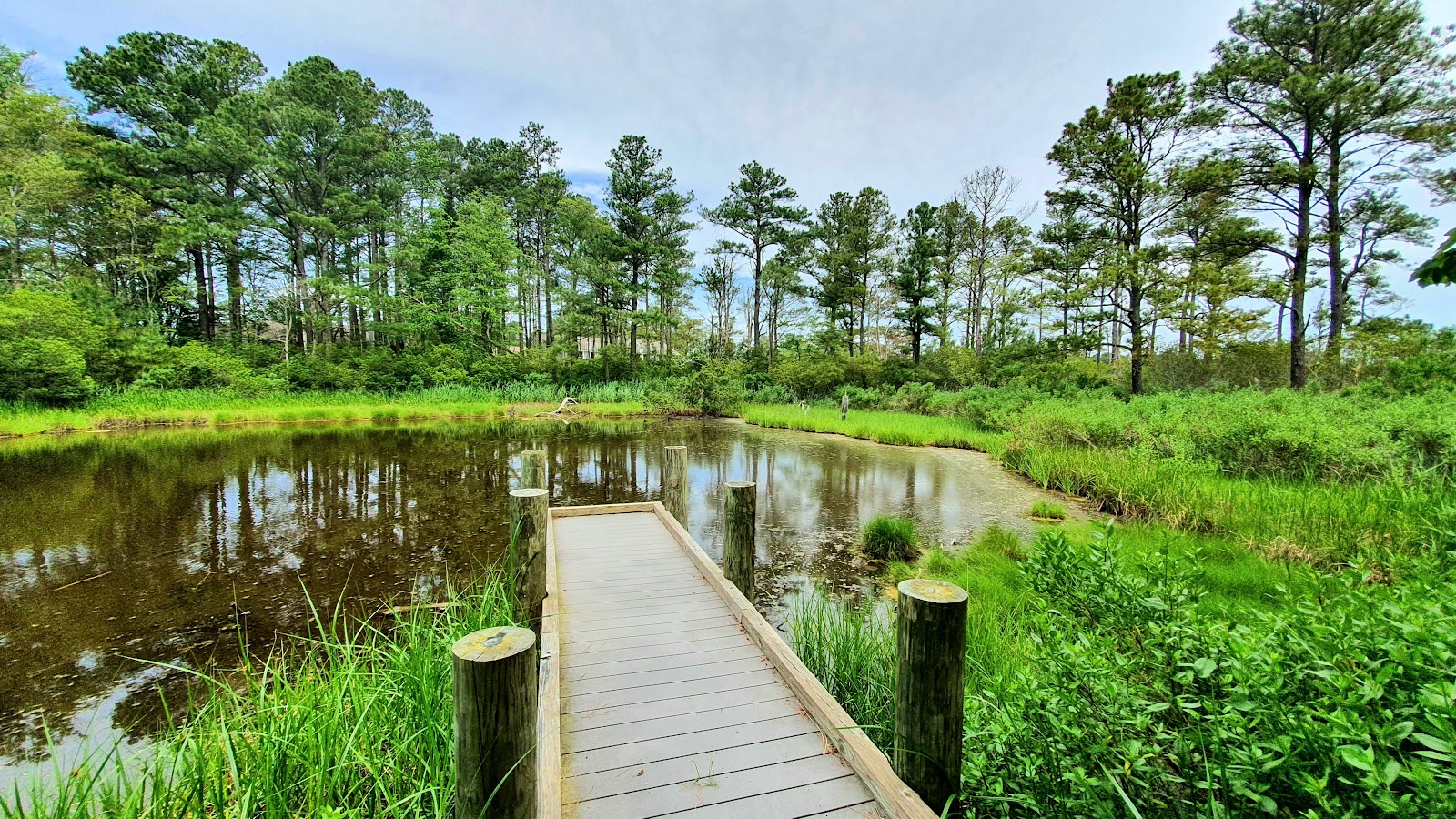 Exploring Bethany Beach Nature Center: A Nature Lover's Paradise