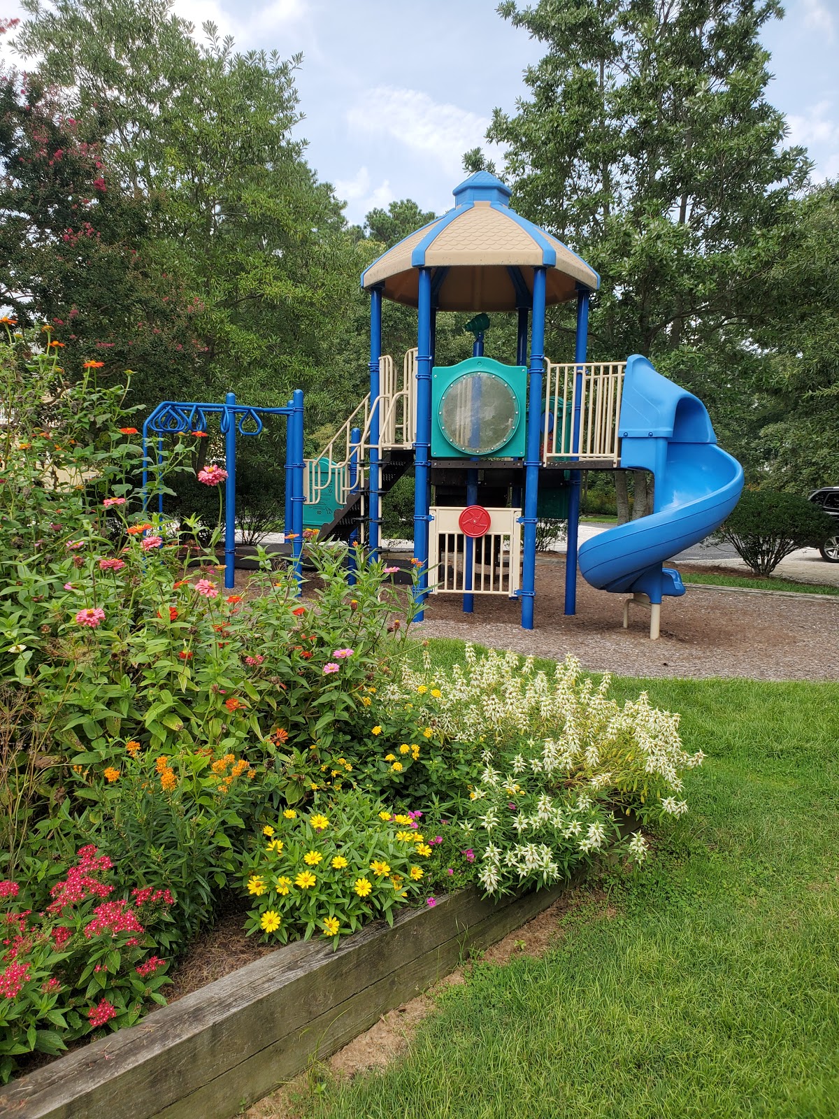 Exploring Bethany Beach Nature Center: A Nature Lover's Paradise