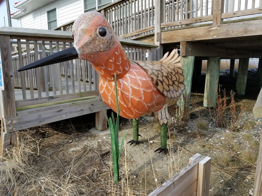 DuPont Nature Center