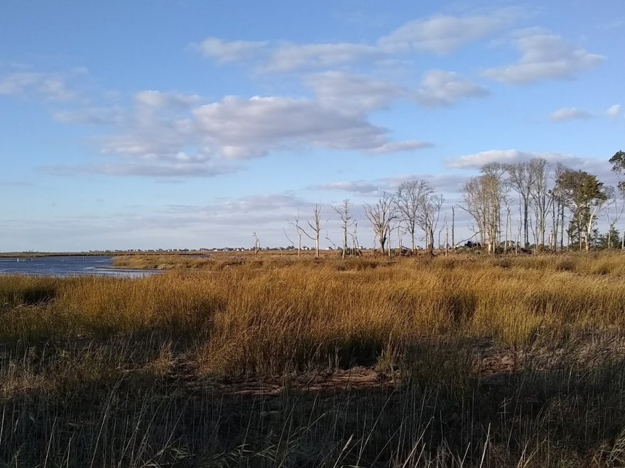 Prime Hook National Wildlife Refuge Admin Building And Visitor Contact Station