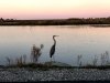 Prime Hook National Wildlife Refuge Admin Building And Visitor Contact Station