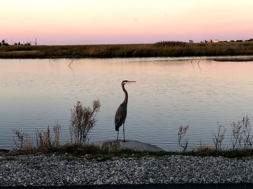 Prime Hook National Wildlife Refuge Admin Building And Visitor Contact Station