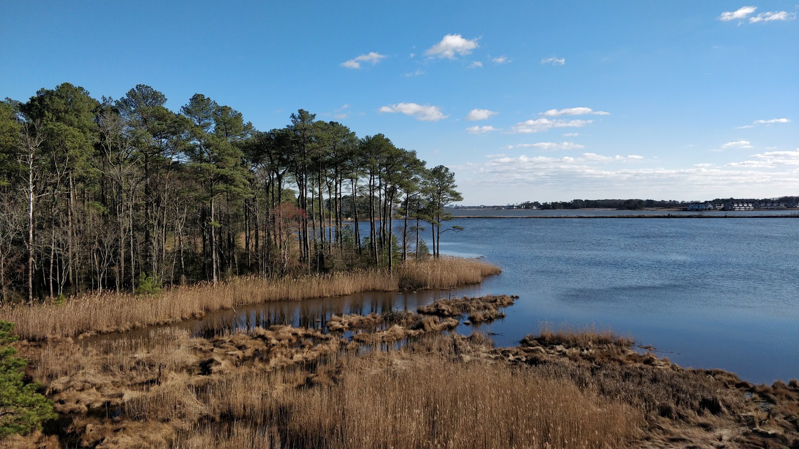 Assawoman wildlife area 37604 mulberry discount landing rd frankford de 19945