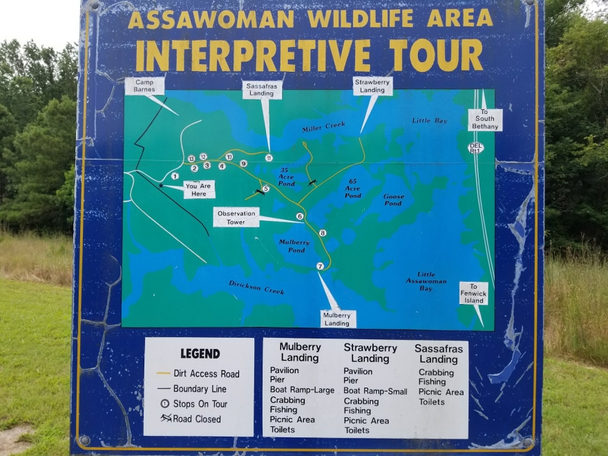 Assawoman Wildlife Area