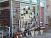 Auntie M's Emporium