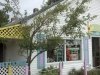 Magnolia Street Antiques