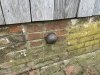 Cannonball House