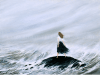 Ellen Rice Studio & Gallery