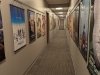Rehoboth Beach Film Society