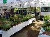 Rehoboth Beach Farmers' Market