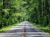 Great Cypress Swamp
