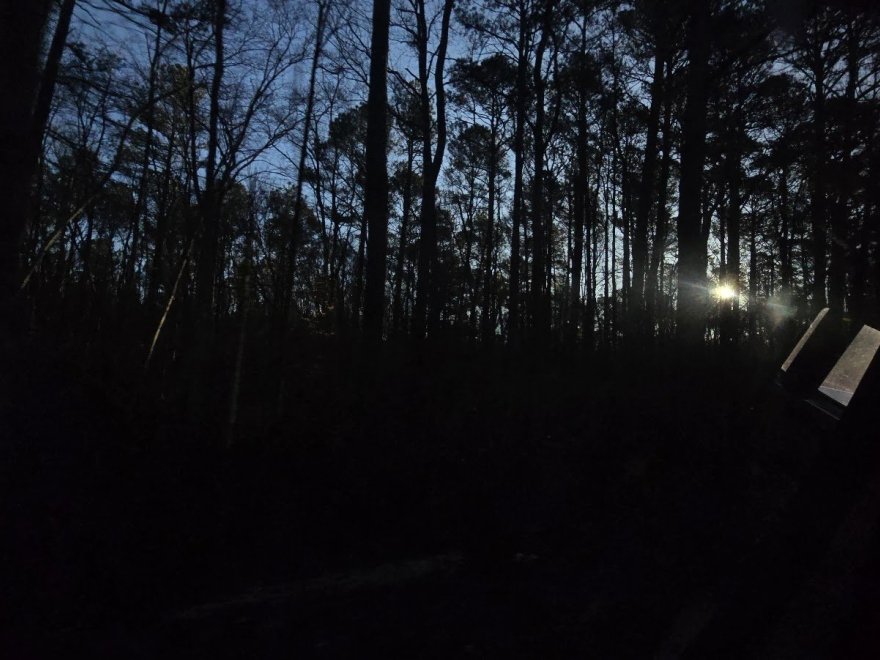 Great Cypress Swamp