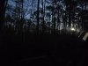 Great Cypress Swamp