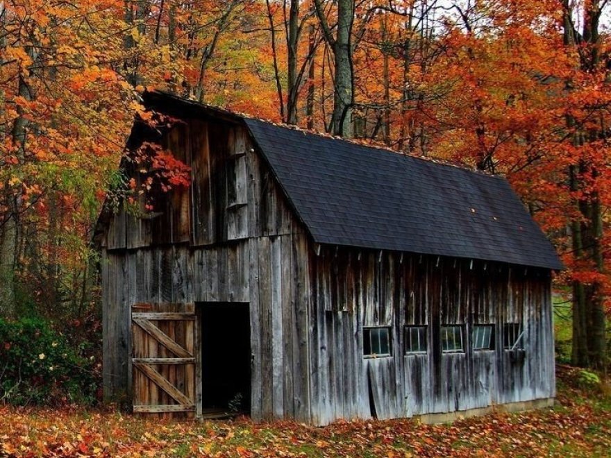 Redden State Forest