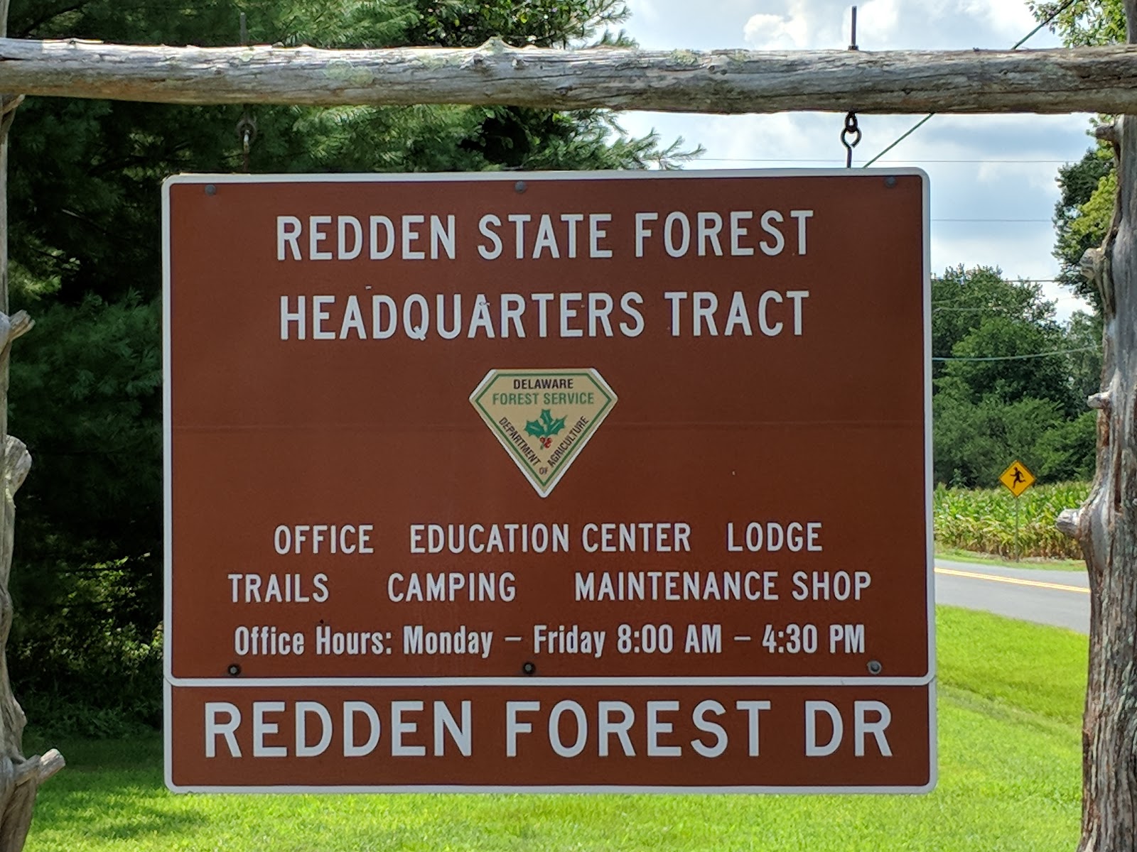 Redden State Forest Onsite