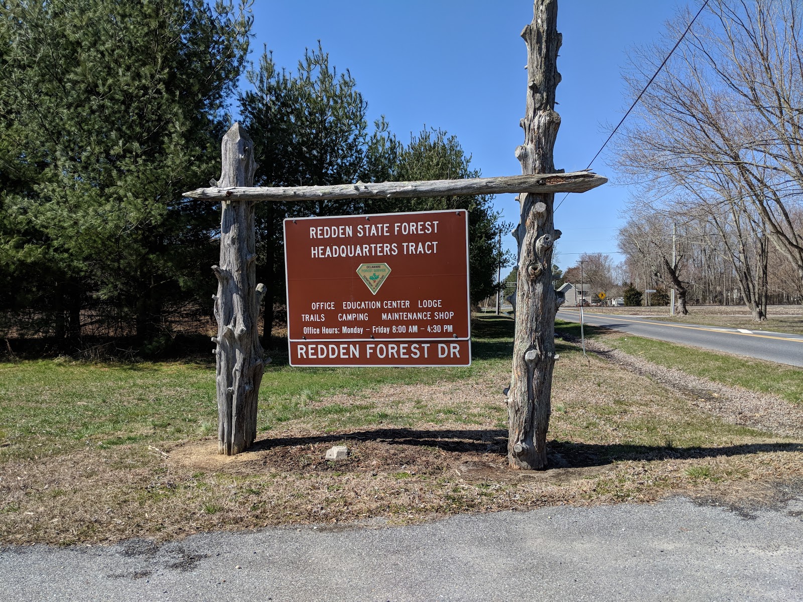 Redden State Forest Onsite